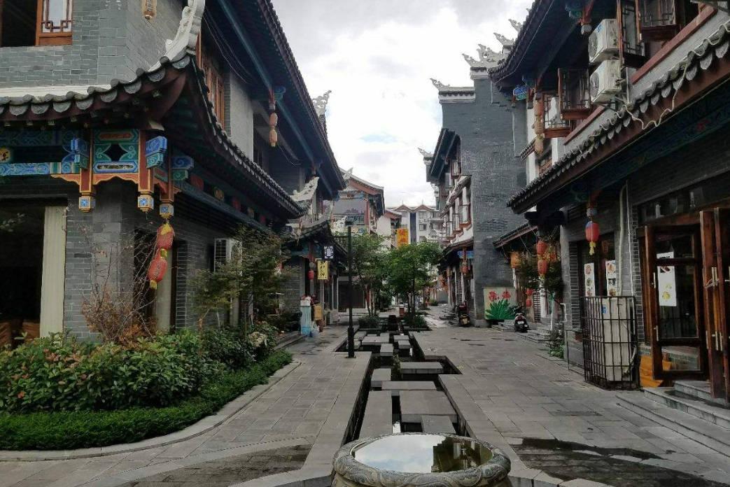 救援可爱小松鼠